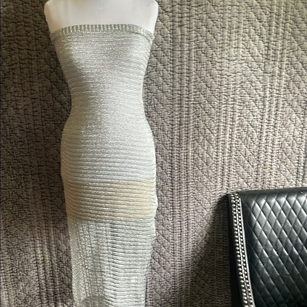 Elegant Silver Strapless Dress